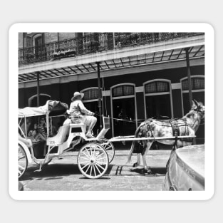 Mule Drawn Carriage Sticker